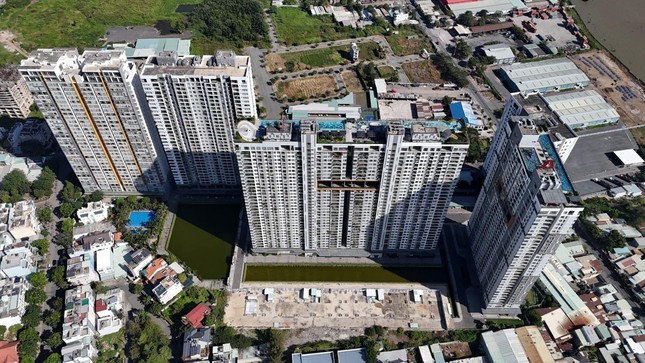 Nhiều doanh nghiệp 