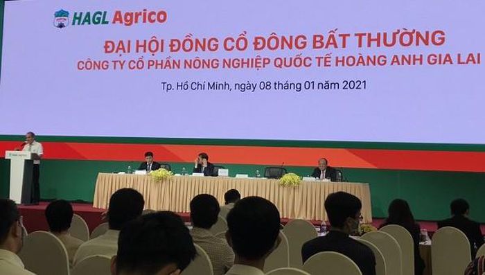Ông Trần Bá Dương chính thức ngồi ghế Chủ tịch HAGL Agrico thay bầu Đức