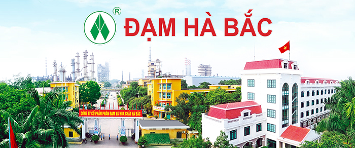 Một doanh nghiệp phân bón lỗ lũy kế hơn 2.200 tỷ đồng, nợ vay gấp gần 6 lần vốn chủ
