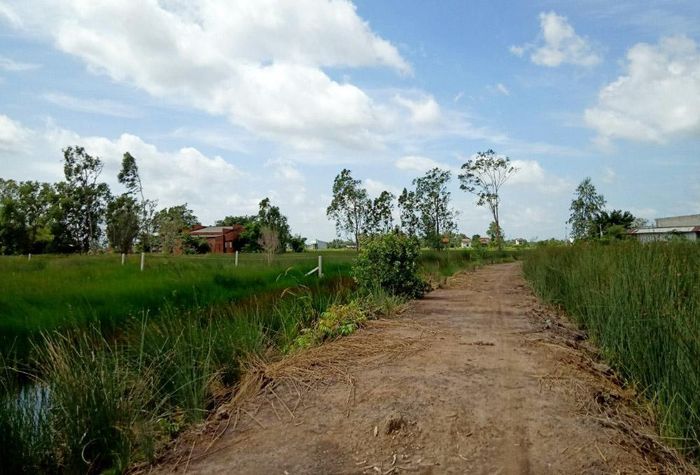 Giá đất nông nghiệp tăng nhanh, Long An ngừng cấp sổ đối với đất đồng sử dụng