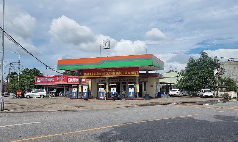 Bắc Giang: Hàng loạt thiếu sót, sai phạm kéo dài tại dự án của Công ty Cổ phần Đại Hoàng Yến