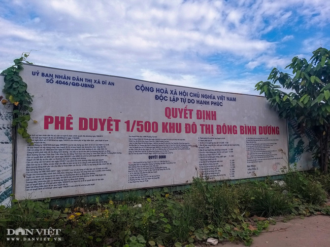 Khu đô thị Đông Bình Dương: Dự án 