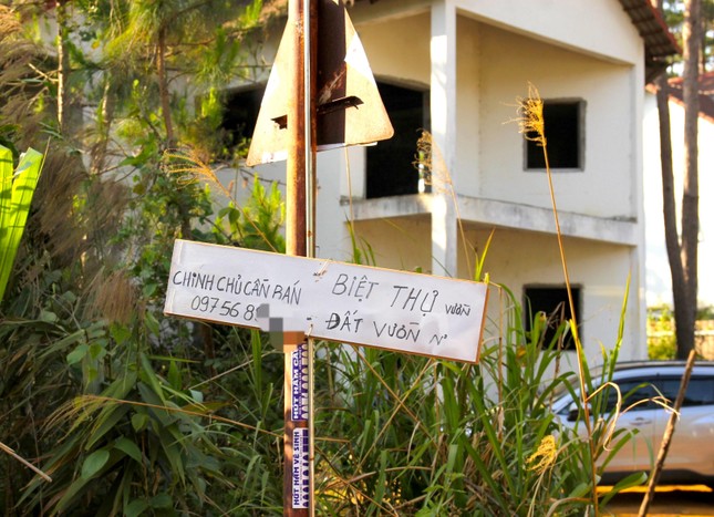 Phát hiện hàng loạt biệt thự, homestay chiếm đất rừng ở Măng Đen